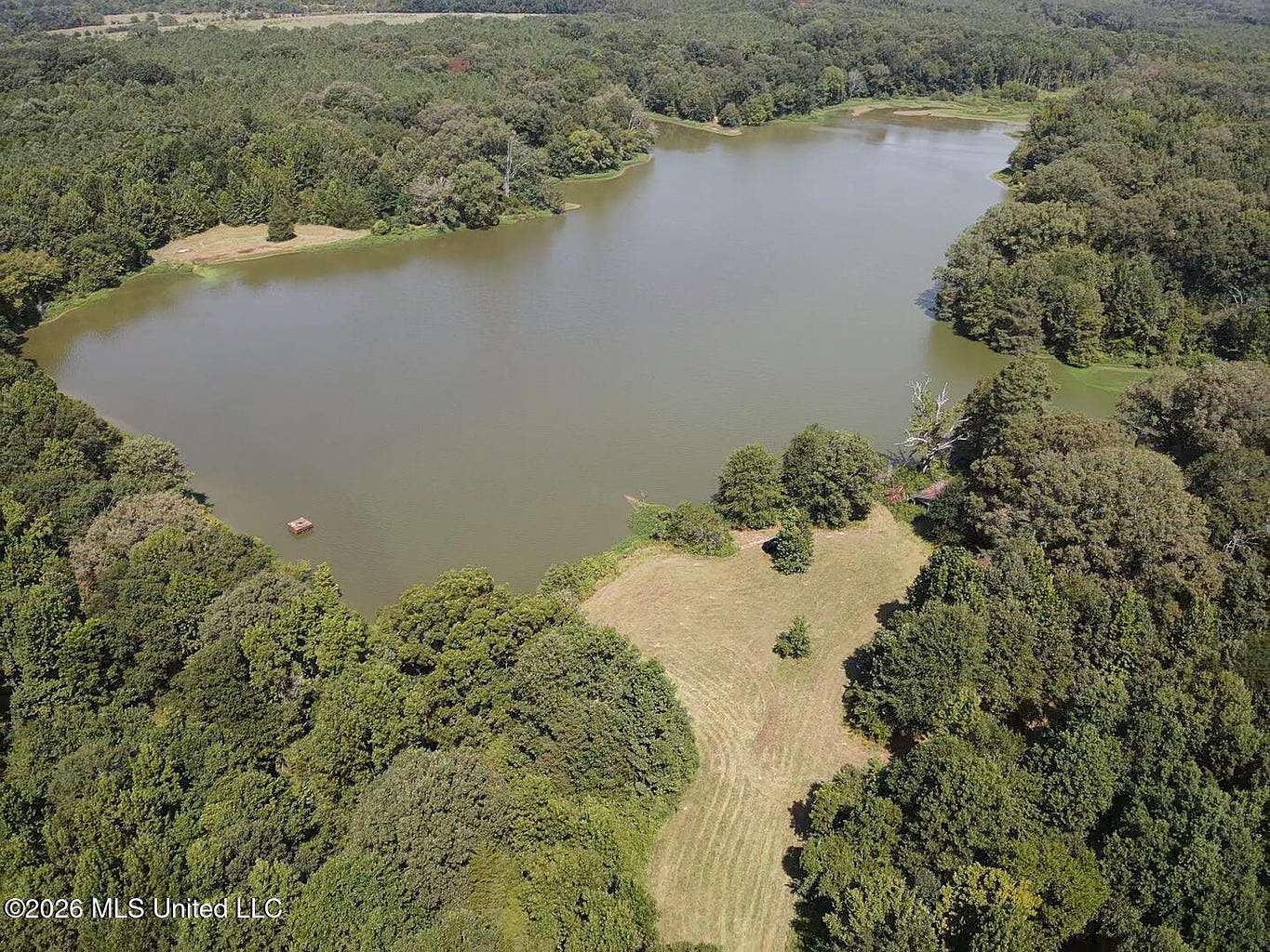 81.6 Acres of Land for Sale in Vaughan, Mississippi