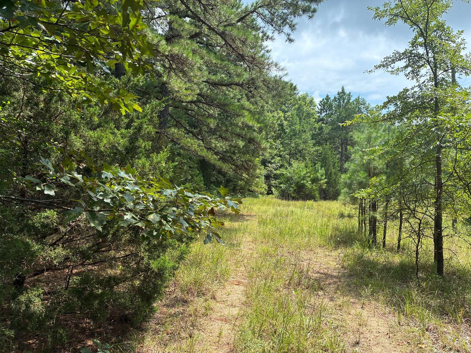 6.5 Acres of Land for Sale in Paragould, Arkansas