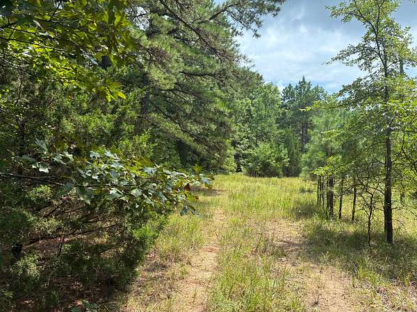 6.5 Acres of Land for Sale in Paragould, Arkansas
