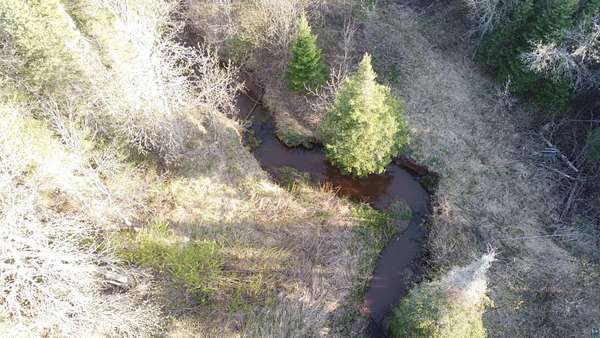 31 Acres of Recreational & Residential Land for Sale in Brule, Wisconsin