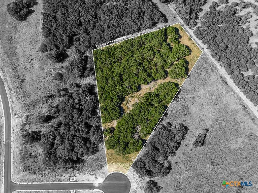 3.19 Acres of Residential Land for Sale in Jonesboro, Texas