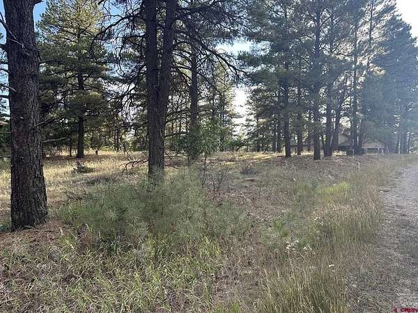 0.32 Acres of Residential Land for Sale in Pagosa Springs, Colorado