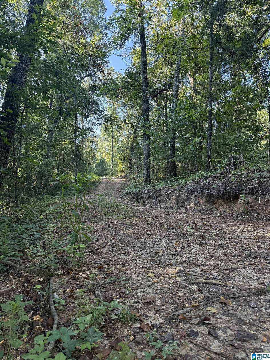 12 Acres of Land for Sale in Riverside, Alabama