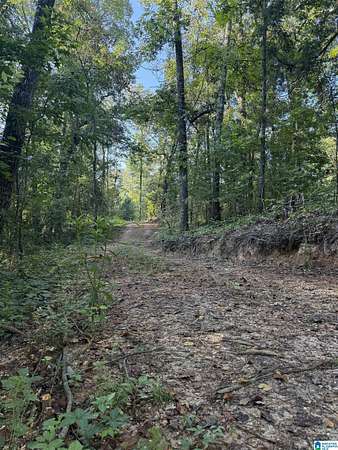 12 Acres of Land for Sale in Riverside, Alabama