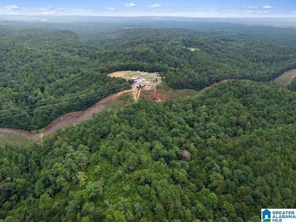 94 Acres of Recreational Land for Sale in Quinton, Alabama
