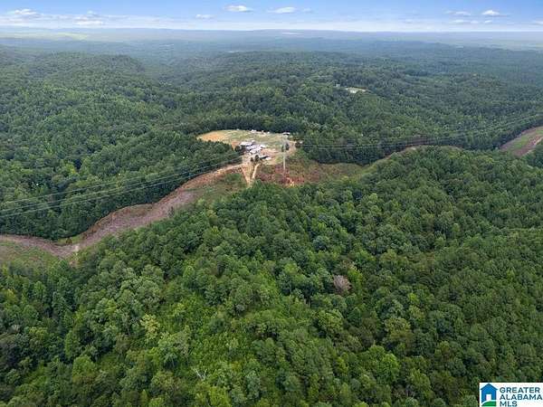 94 Acres of Recreational Land for Sale in Quinton, Alabama