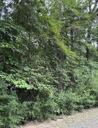 0.23 Acres of Residential Land for Sale in Hemphill, Texas