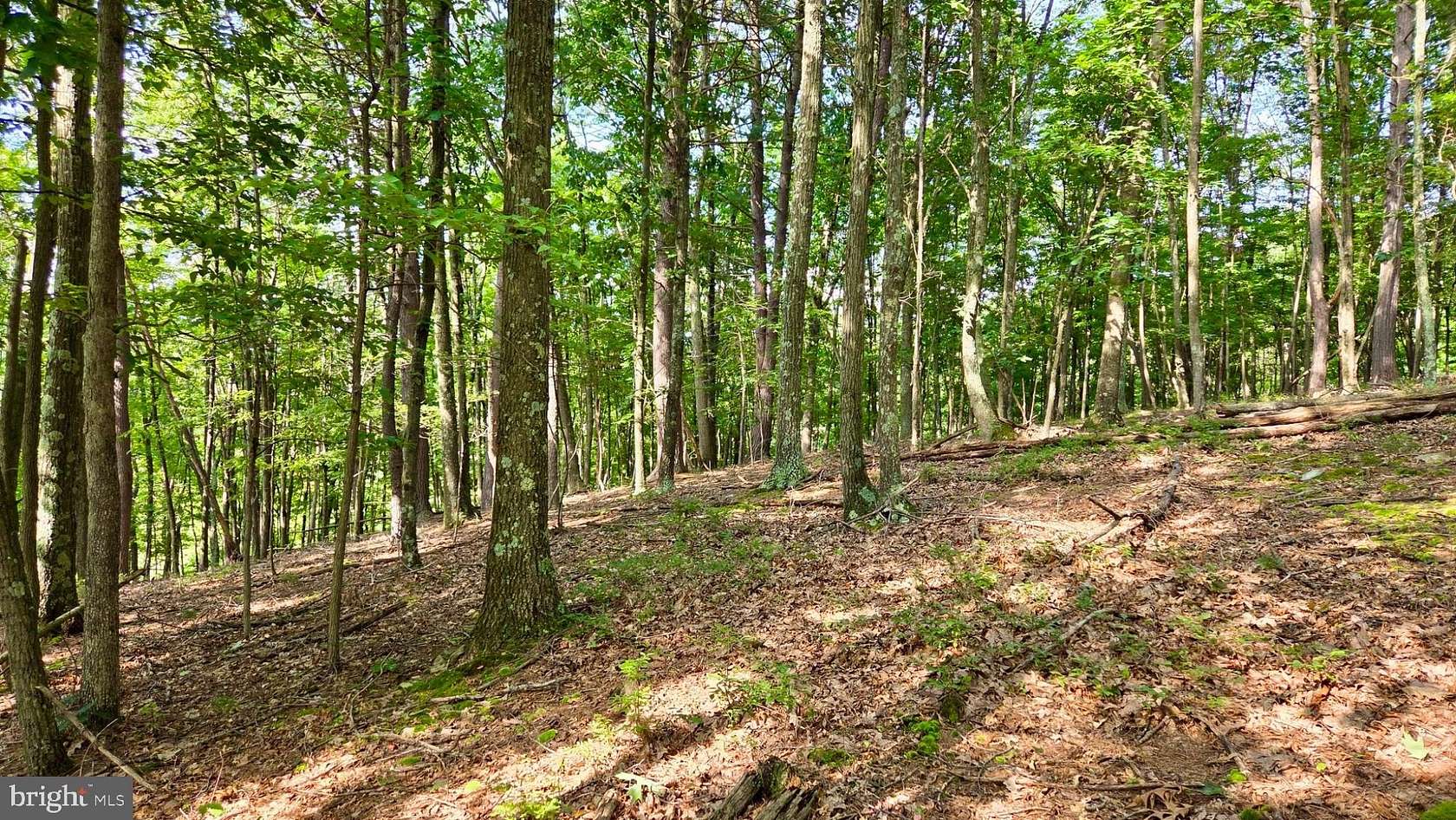 15 Acres of Recreational & Residential Land for Sale in Coaldale, Pennsylvania