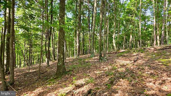 15 Acres of Recreational & Residential Land for Sale in Coaldale, Pennsylvania
