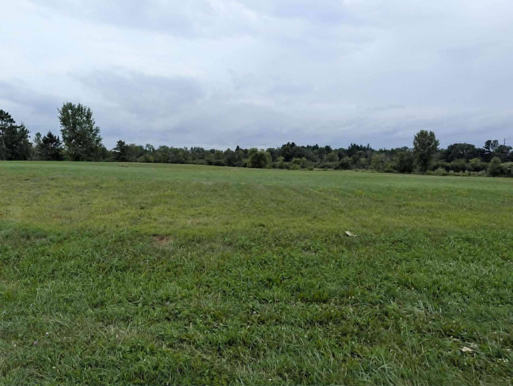 0.99 Acres of Commercial Land for Sale in Tomah, Wisconsin