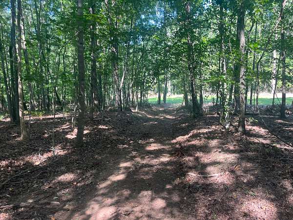 85.5 Acres of Land for Sale in Iron City, Tennessee