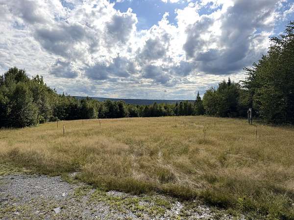 12.2 Acres of Land for Sale in Greenville, Maine