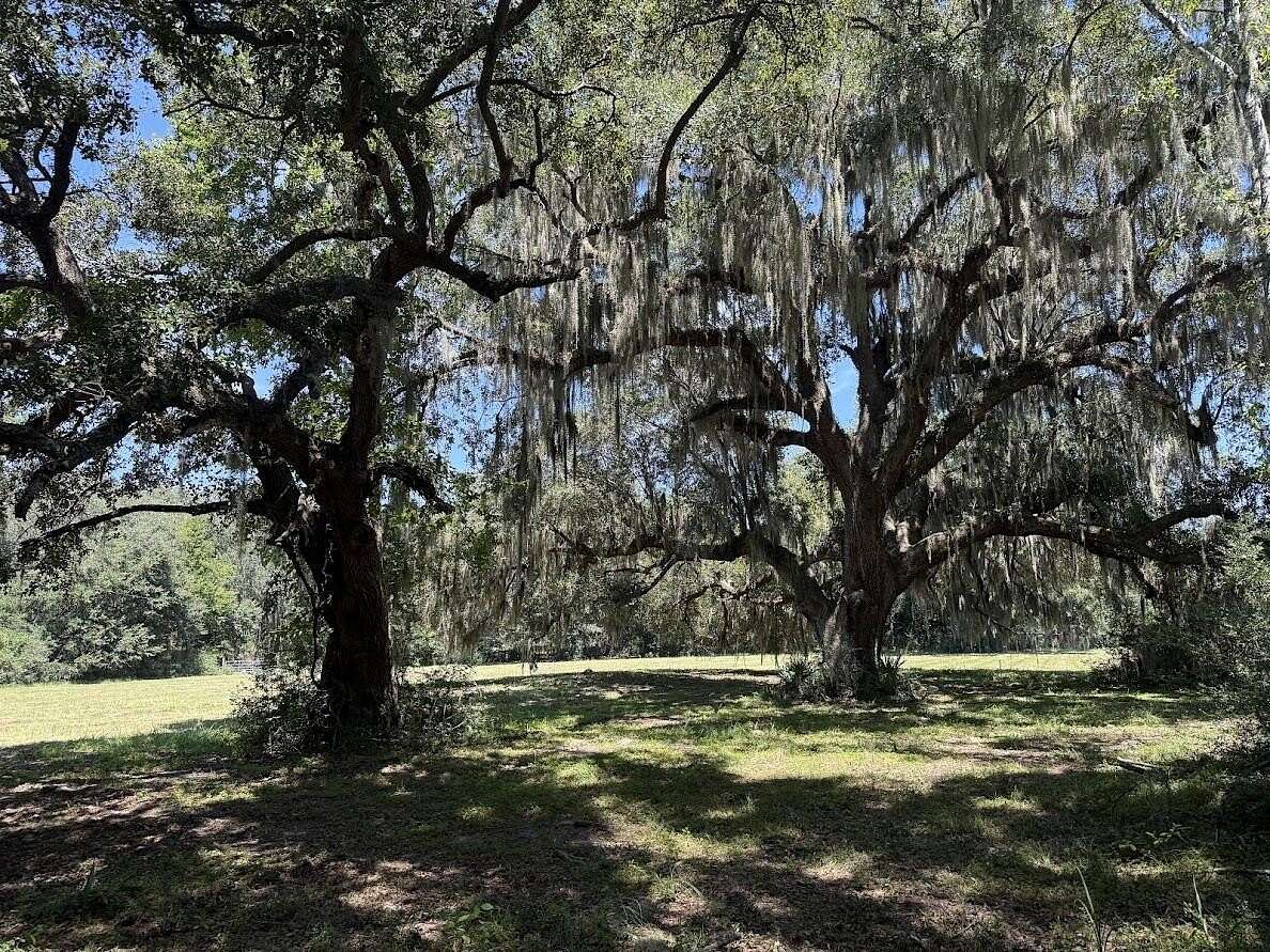 2.5 Acres of Residential Land for Sale in Meggett, South Carolina