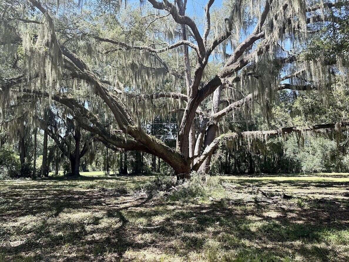 2.46 Acres of Residential Land for Sale in Meggett, South Carolina