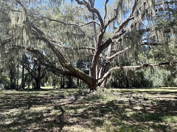 2.46 Acres of Residential Land for Sale in Meggett, South Carolina