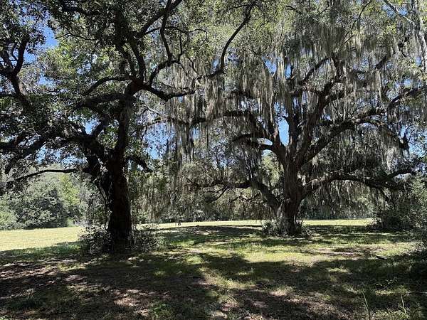 2.37 Acres of Residential Land for Sale in Meggett, South Carolina