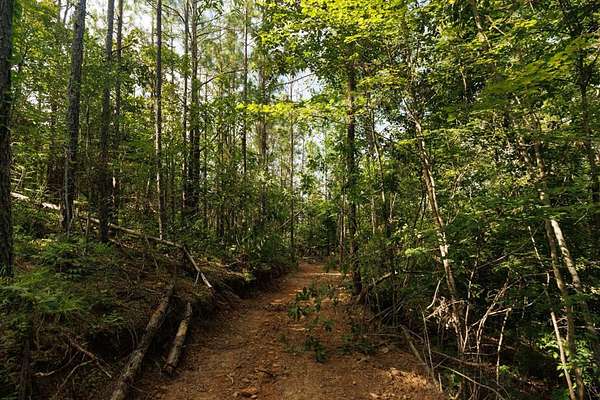 125 Acres of Recreational Land for Sale in Verbena, Alabama