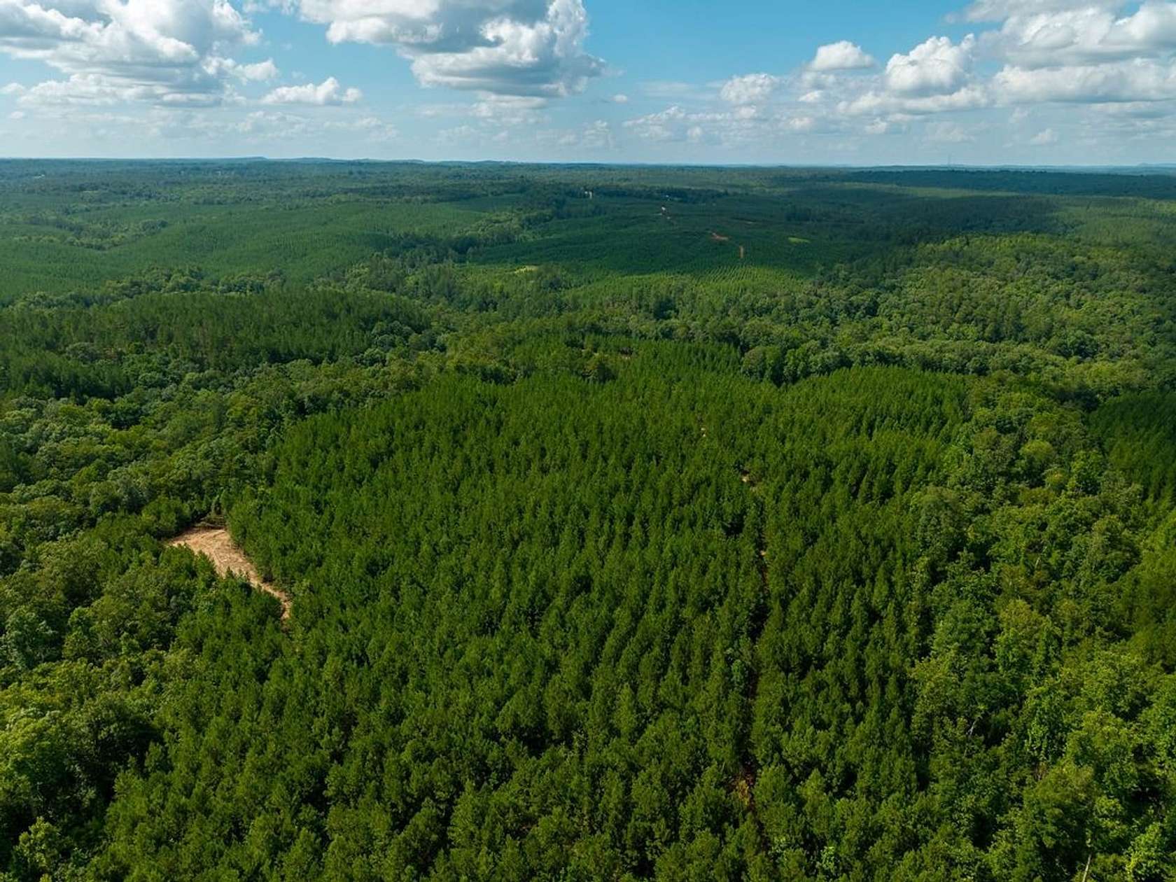77 Acres of Recreational Land for Sale in Verbena, Alabama