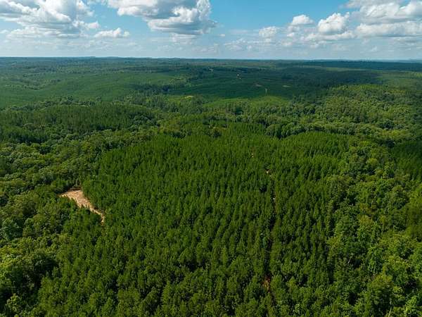 77 Acres of Recreational Land for Sale in Verbena, Alabama