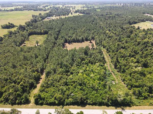 12.8 Acres of Recreational Land for Sale in Greenwood, Florida