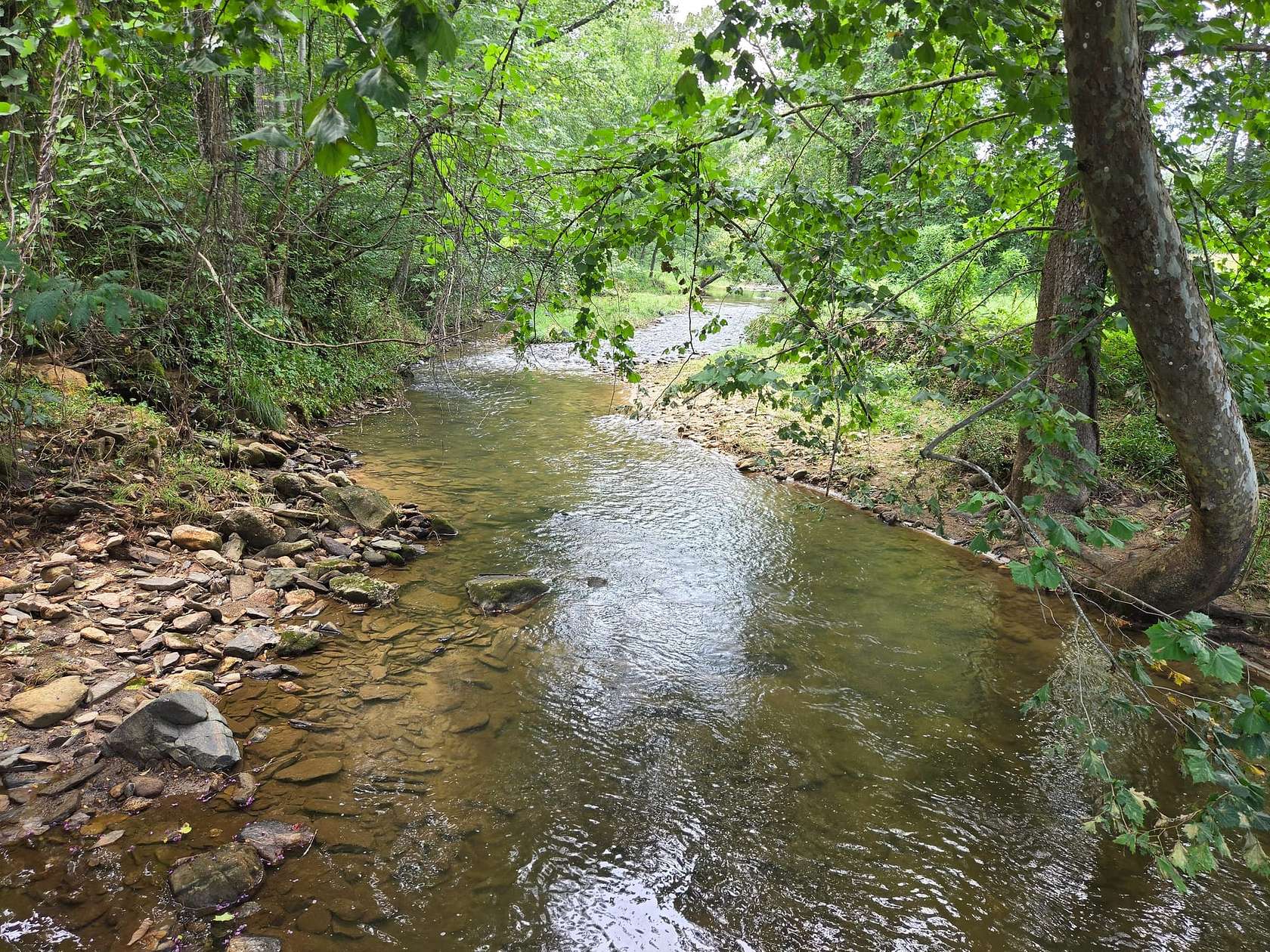 44.6 Acres of Land for Sale in Ferguson, North Carolina