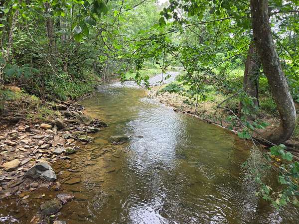 44.6 Acres of Land for Sale in Ferguson, North Carolina