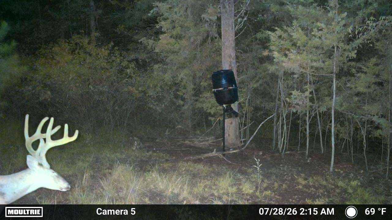 95.3 Acres of Recreational & Residential Land for Sale in Tignall, Georgia