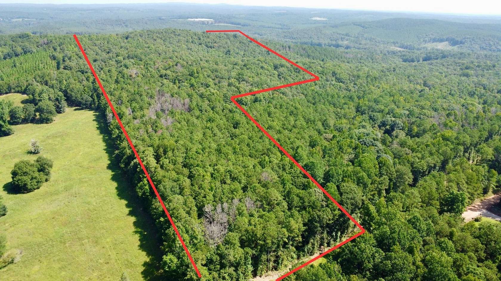 46 Acres of Recreational & Residential Land for Sale in Wedowee, Alabama