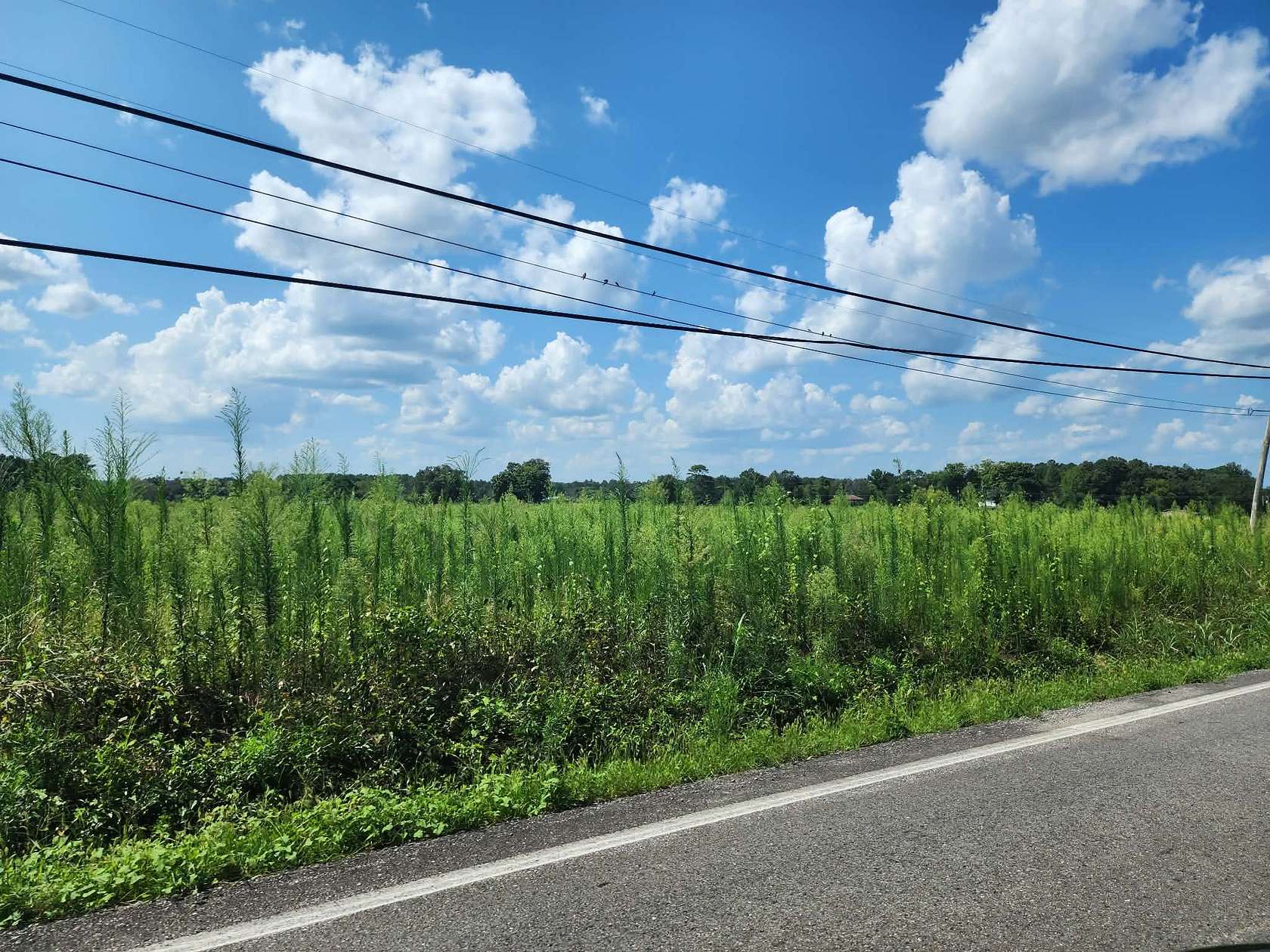 8 Acres of Land for Sale in Cleveland, Tennessee