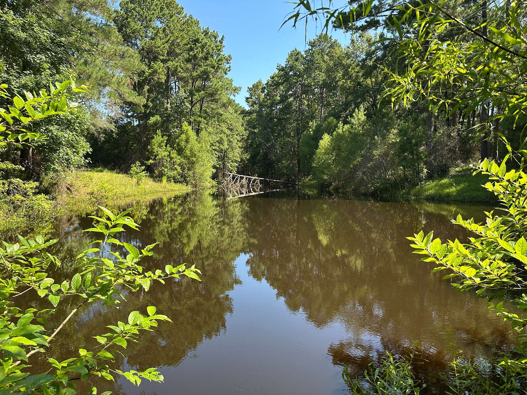 220 Acres of Recreational Land for Sale in Diboll, Texas