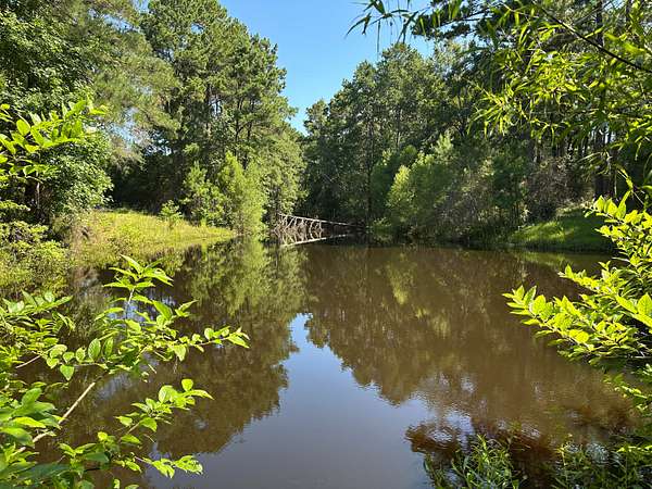 220 Acres of Recreational Land for Sale in Diboll, Texas