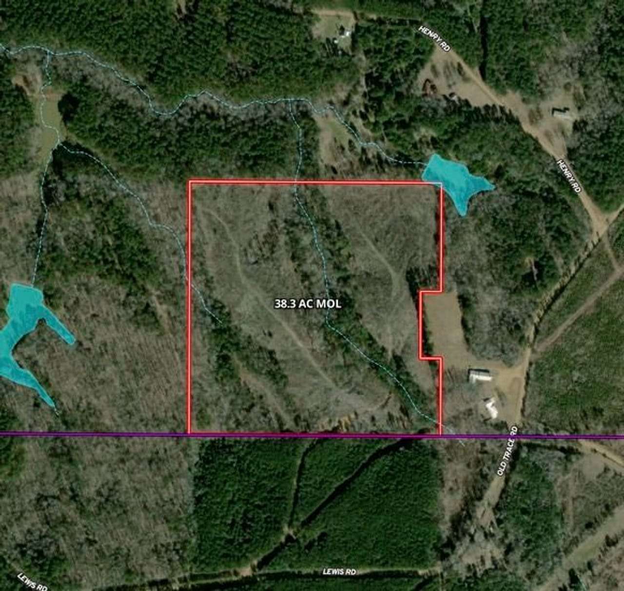 38.3 Acres of Recreational Land for Sale in Mathiston, Mississippi