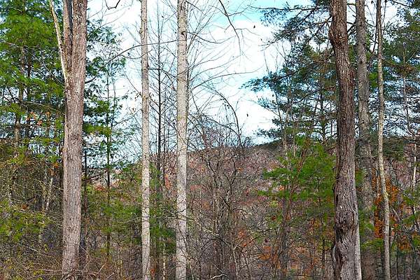 92.2 Acres of Recreational & Residential Land for Sale in Jumping Branch, West Virginia