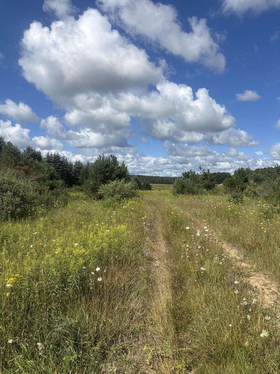 24 Acres of Land for Sale in Onaway, Michigan