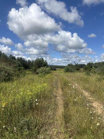24 Acres of Land for Sale in Onaway, Michigan