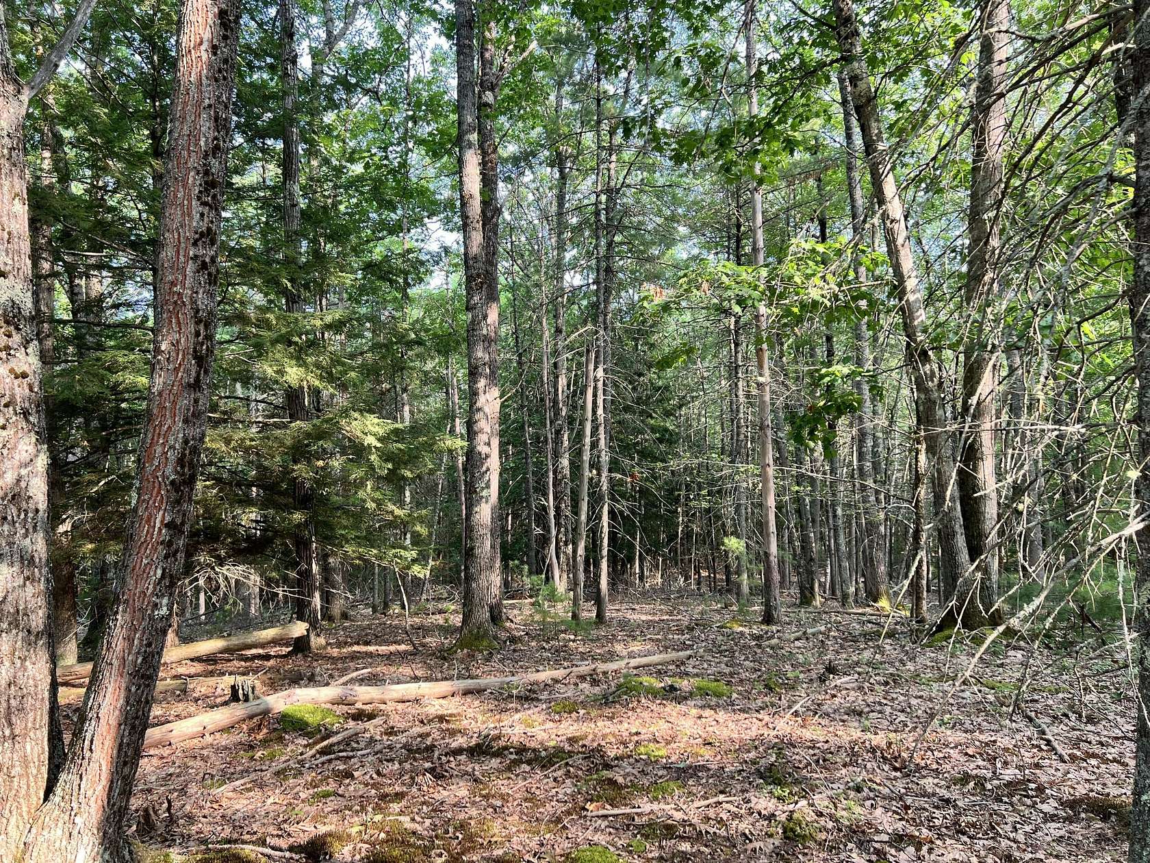 43 Acres of Recreational & Residential Land for Sale in Bowdoin Town, Maine