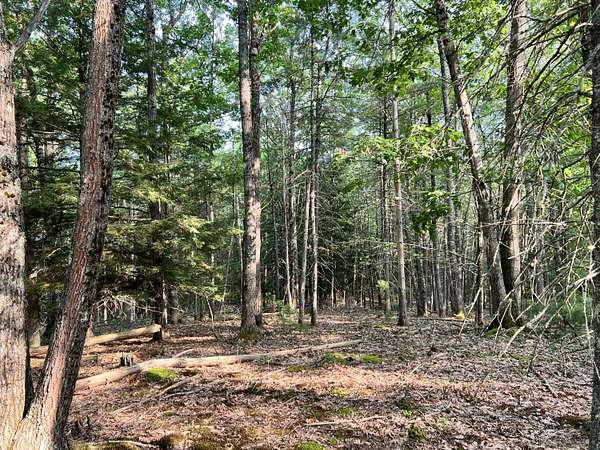 43 Acres of Recreational & Residential Land for Sale in Bowdoin Town, Maine