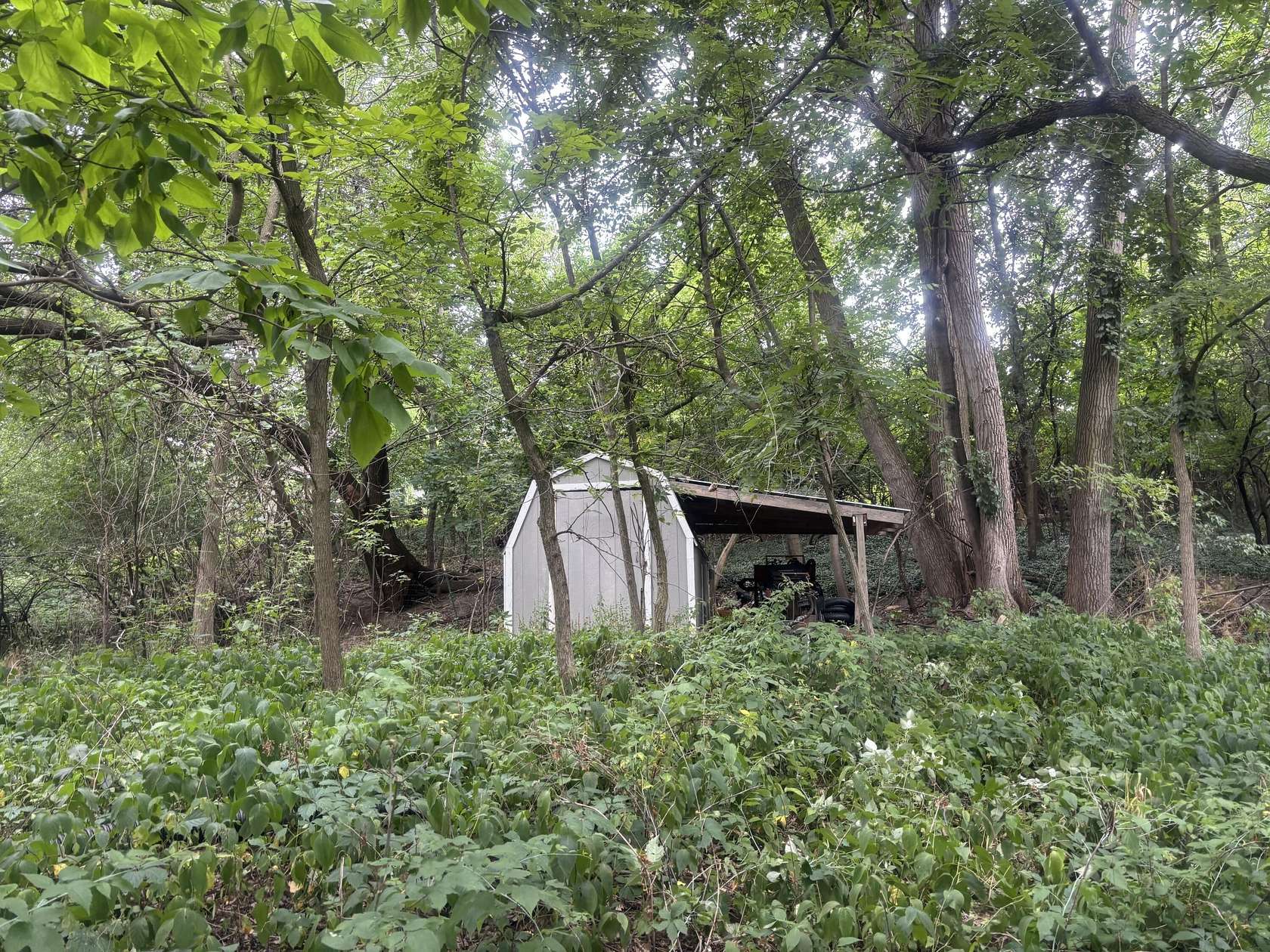 0.2 Acres of Residential Land for Sale in Grand Rapids, Michigan
