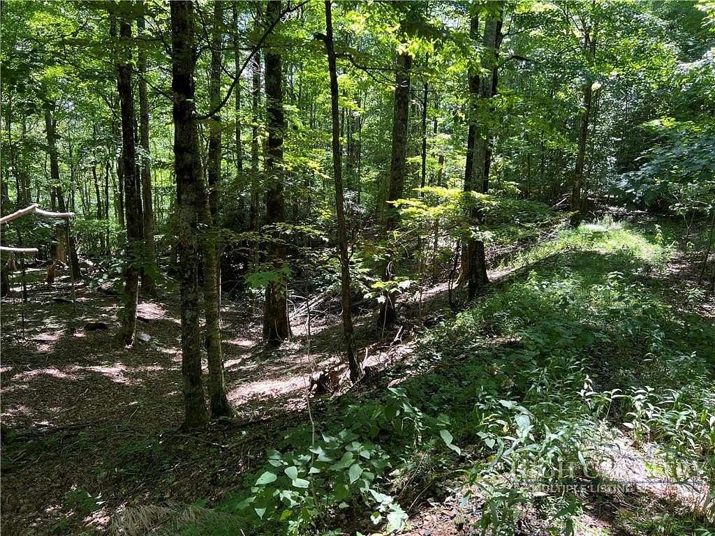 3 Acres of Land for Sale in West Jefferson, North Carolina