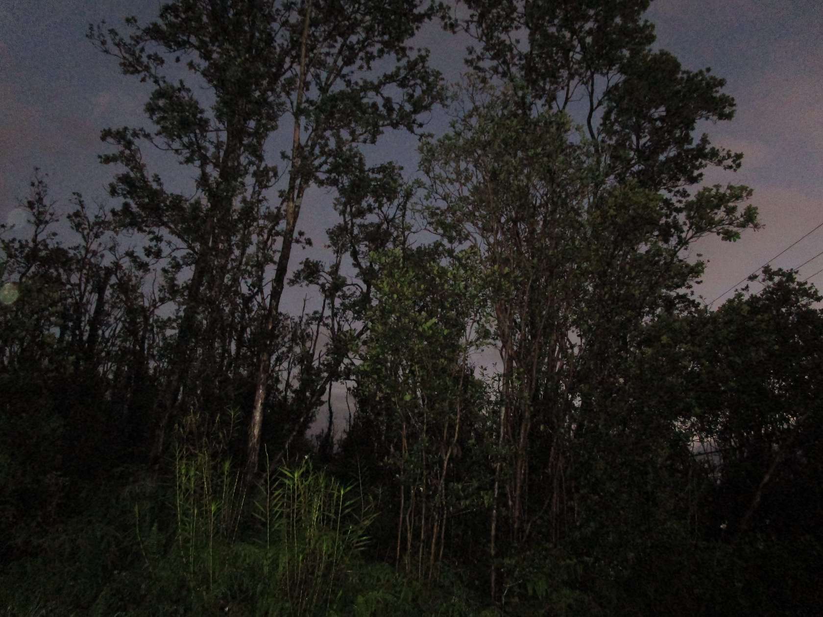 3 Acres of Residential Land for Sale in Volcano, Hawaii