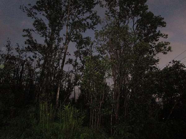 3 Acres of Residential Land for Sale in Volcano, Hawaii
