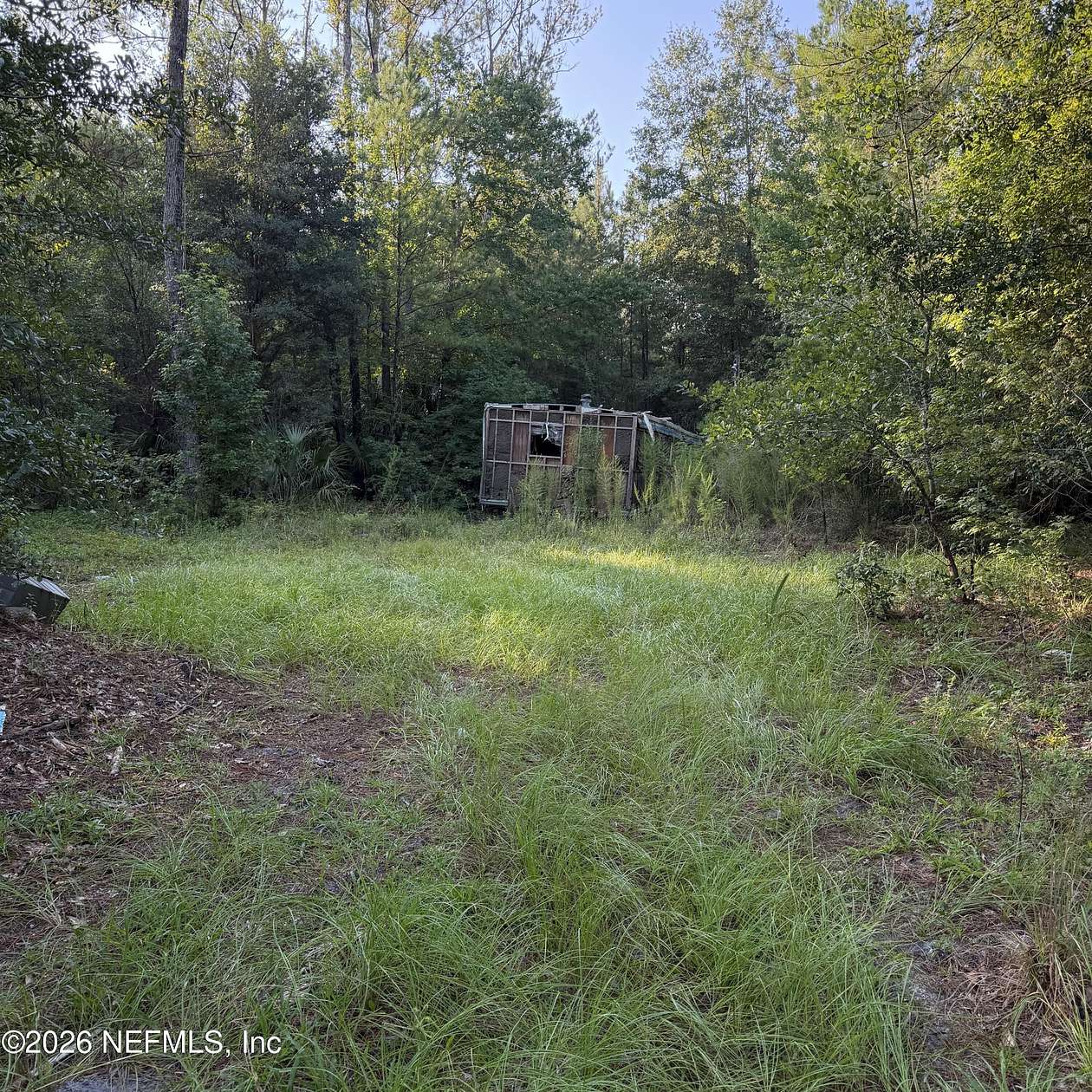 5.3 Acres of Residential Land for Sale in Hawthorne, Florida