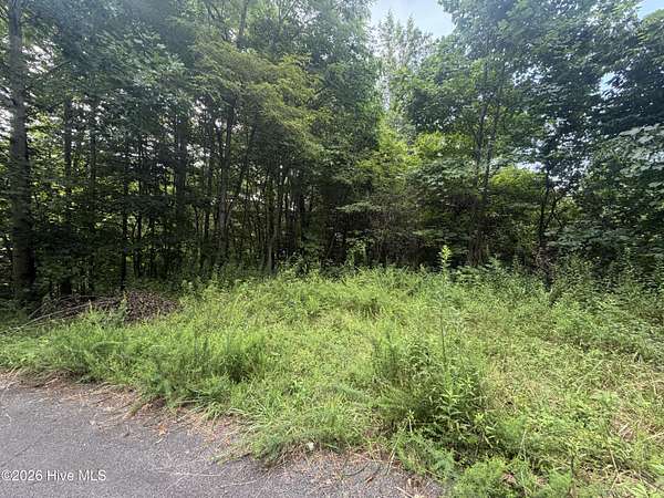 1.16 Acres of Residential Land for Sale in Topton, North Carolina
