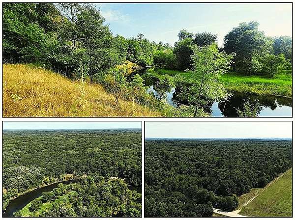 105 Acres of Land for Sale in Browerville, Minnesota