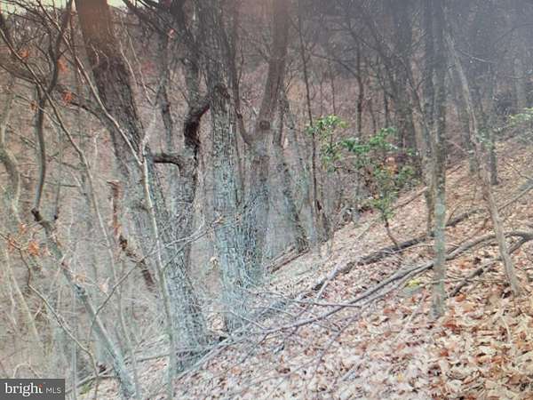 21.8 Acres of Recreational & Residential Land for Sale in Moorefield, West Virginia