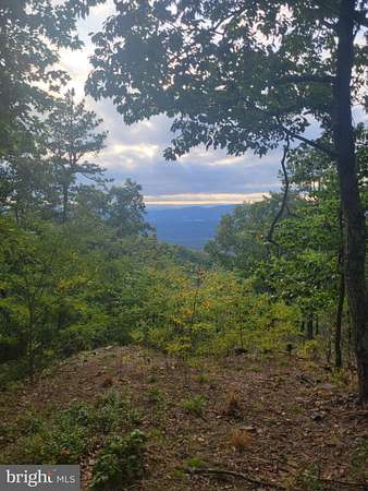 21.8 Acres of Recreational & Residential Land for Sale in Moorefield, West Virginia