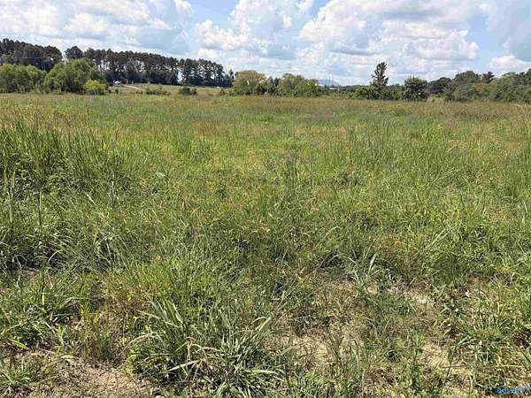 3.72 Acres of Residential Land for Sale in Centre, Alabama