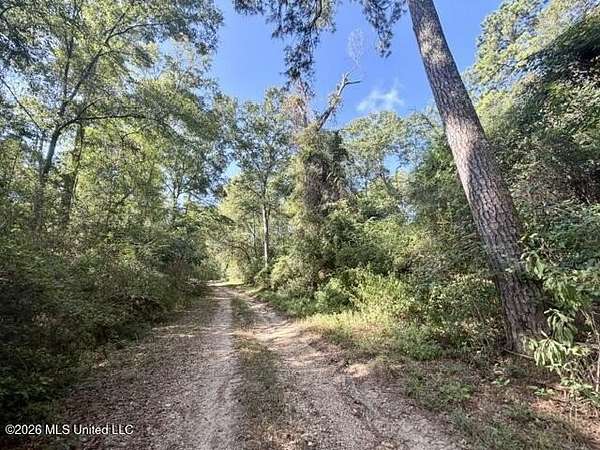 6 Acres of Residential Land for Sale in Franklinton, Louisiana