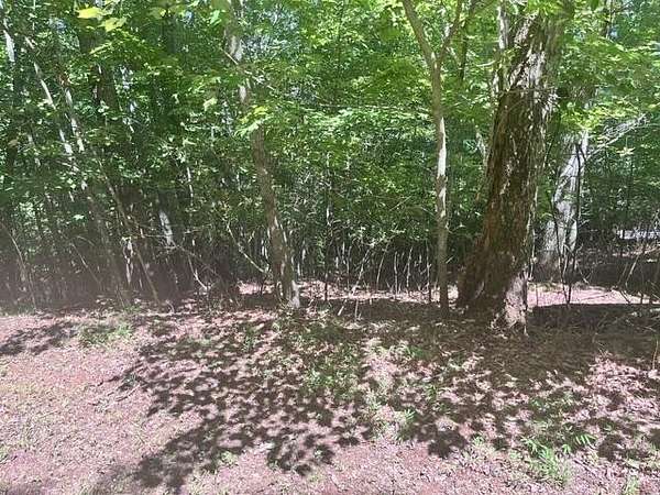 1 Acre of Land for Sale in Hayesville, North Carolina