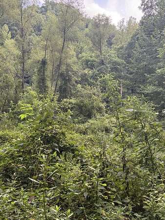9 Acres of Residential Land for Sale in Artie, West Virginia